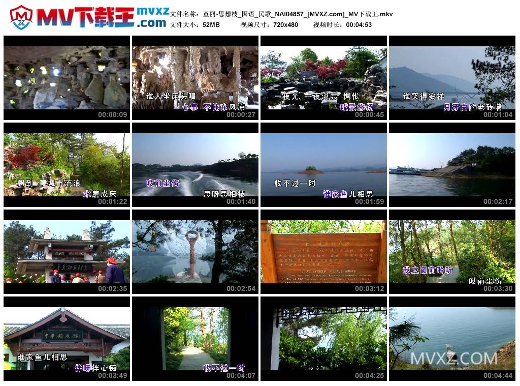 童丽-思想枝_国语_民歌_NAI04857